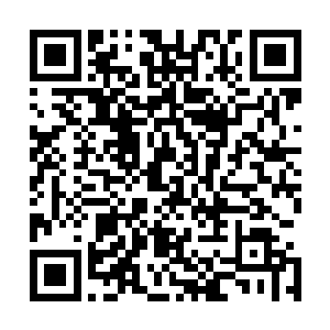 这不正是之前它前身用来捕捉我和界力之花时用到的粘液么二维码生成