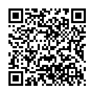 这不知道是那个裤腰带没系紧给露出来的王八蛋敢太岁头上动土二维码生成