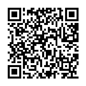 这不禁让池佳一动了再次创造一个仙侠小世界来二维码生成