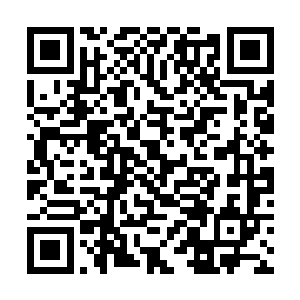 这不禁让许紫烟在西门孤烟心中的地位又增长了一块二维码生成