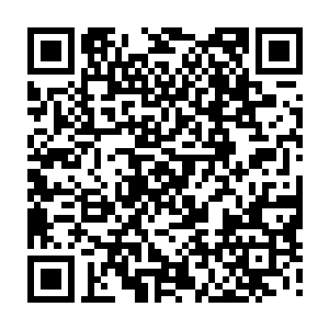 这不起眼的丹药竟然一路让她的修为从登天六重顶峰直接达到了登天七重顶峰二维码生成