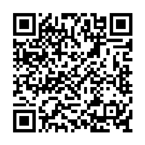 这与魔族开始的接触战就要依仗你们七大宗门了二维码生成