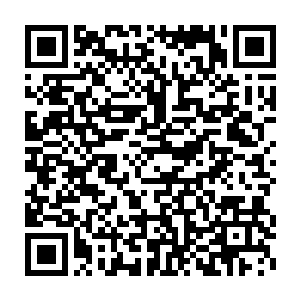 这世上怎么可能有人在同时中了磁极阴冥针和红叶针还能毫无反应的二维码生成