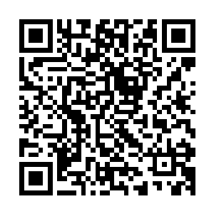 这世上目前知道的也就只有杜遥一个人类是融进了墨蛟精血的二维码生成