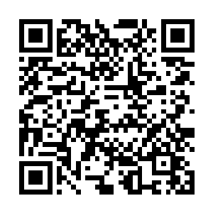 这世上能在他们两个面前拔枪并完成射击的人是真不多二维码生成