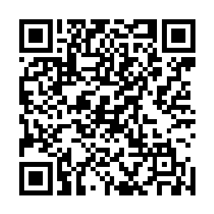 这世上见过清尘公子生气的人简直连一只手都数不满好不好二维码生成