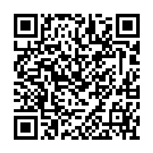 这世界上还真有可以在那种氤氲灵气中修炼的人二维码生成