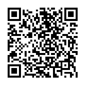 这东西不是说吃了之后可以继承前辈所有修为么二维码生成