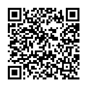 这东西凌菲喜欢那估计部落的女人们也是喜欢的二维码生成