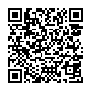 这东西必定不是什么普通的野生动物这么简单吧二维码生成