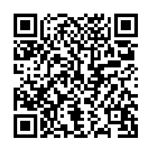 这东西本来是凌菲看他们无聊才想着弄出来给老猎手们解闷的二维码生成