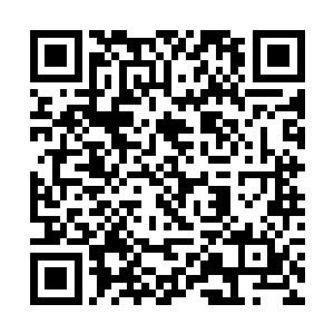 这东西根本就不是苏子安胡扯的什么有伤风化的东西二维码生成