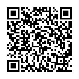 这东西的存在只是为了帮助自己更好的融入这个世界二维码生成