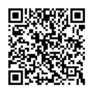 这东西简直就是将上百只章鱼黏到一起后的模样二维码生成