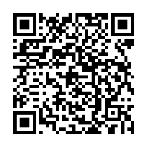 这东西跟芋头一样可以烤着吃可以和肉一起炖着吃二维码生成