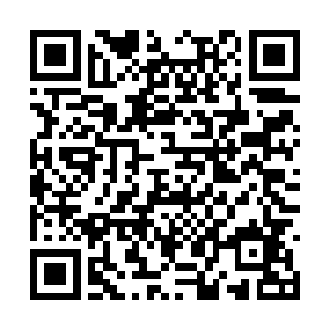 这丝毫灵气也没有泄露的猴子竟有如此可怕的力量二维码生成