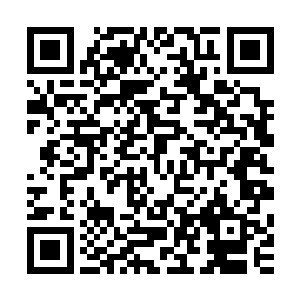 这两个人……重葵忽然想起华阳太后刚才说秦王要立后的事情二维码生成
