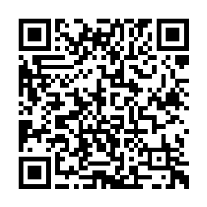 这两个人之间的战斗完全就是教科书一般的战斗二维码生成