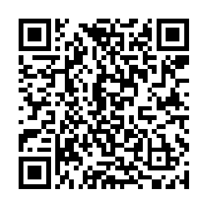 这两个人平时根本就没在一次战斗之中杀过这么多人二维码生成