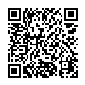 这两个人的大战却又跟璃儿完全没有关系的……毕竟二维码生成