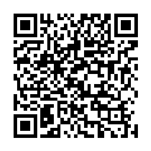 这两个人的对话真的给他带来太多的神秘感和震慑的感觉了二维码生成
