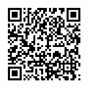 这两个人难道就是……害了宝宝哥的那马容儿和宋吉二维码生成