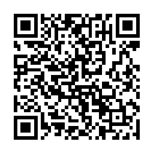 这两个动作可以作为基础动作加入我们的格斗术之中二维码生成