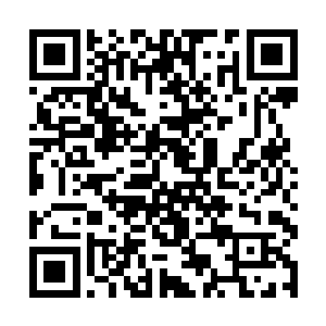 这两个动作本身也不像技能那样拥有超高的攻击加值二维码生成