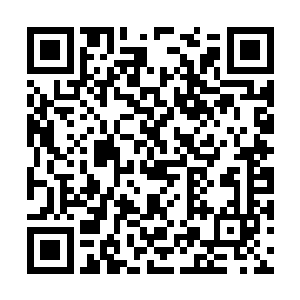 这两个包厢招待的那可都是绝对的贵客级别的人物二维码生成