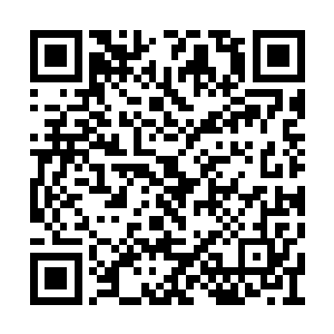 这两个半步地仙加起来到也顶得……半个仙台了二维码生成