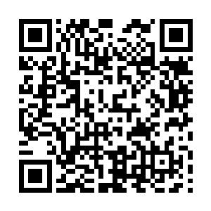 这两个半步武帝强者的年纪比他们任何一个人都要小二维码生成