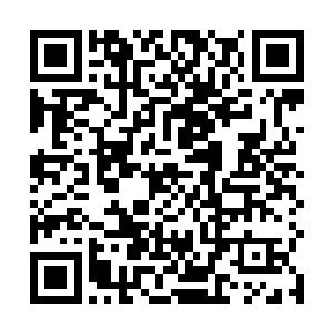 这两个团伙都很聪明的遵循着炎黄觉醒制定下来的秩序二维码生成