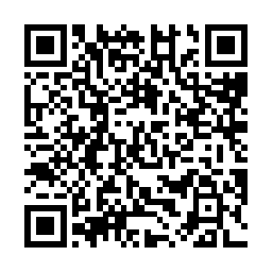 这两个家伙是准备把刚刚发生的事情上报给金色雄狮了二维码生成