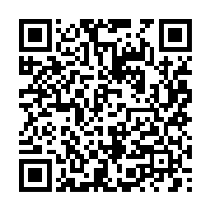 这两个小东西就带着全班的孩子跑到外面玩捉迷藏二维码生成