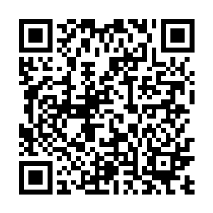 这两个小家伙怎么还不出来…这都已经过去八十多年了二维码生成