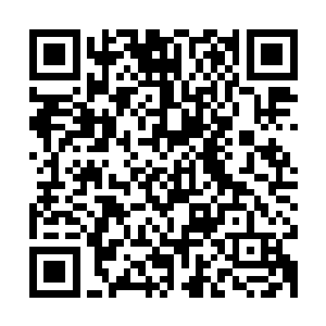 这两个小家伙生命力旺盛…健康的不能再健康了…不会有事儿的二维码生成