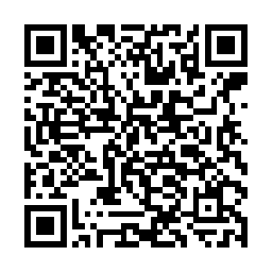 这两个小家伙自身的潜力在经过了多番改造强化之后二维码生成