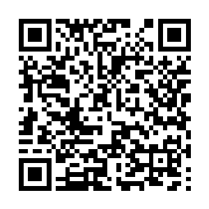 这两个形容词出现在她身上简直就是个小小的奇迹二维码生成