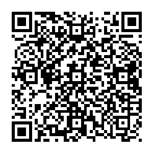 这两个熊孩子只是以为院子里的少妇在练习将兔子变没和把胡萝卜变出来变消失的戏法二维码生成