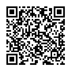 这两个美人是他从最近开辟出的一个次级位面中擢升上来的二维码生成