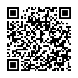 这两人一直羡慕妒忌恨她抢了她们贴身大丫鬟的风头二维码生成