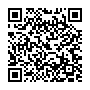 这两人就这么在大庭广众下研究以后怎么唱双簧骗钱二维码生成