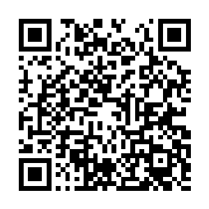 这两人得到了欧阳市长带领参观团来不冻港的消息二维码生成