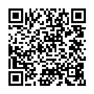 这两位在芝安市哪怕是闽省都是举足轻重的人物二维码生成