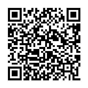 这两位弟子在韩风和项松的保护下抓紧时间修炼二维码生成