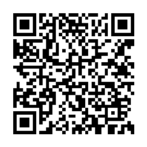 这两位最终的结果将可能会决定整个战局的结果二维码生成
