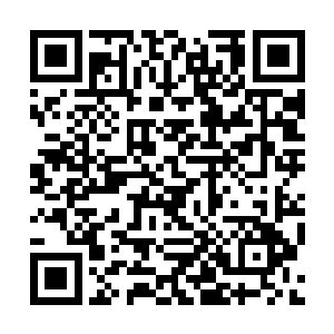 这两位演员的辉煌可以看成是1994年经典的一个缩影二维码生成