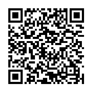 这两位老兵是在旋风港参与和红龙厄尔战斗的士兵二维码生成