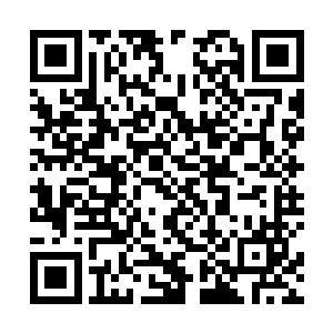 这两位都是感觉自己心中有数百万头羊驼奔腾呼啸而过二维码生成