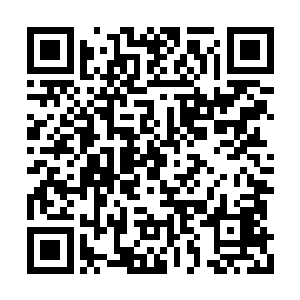 这两句诗描述的是历史上最出名的黄金瞳拥有者二维码生成